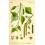 MACERAT BOULEAU BIO HERBALGEM douleurs articulaires
